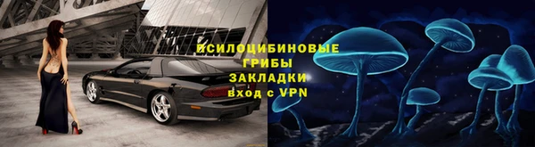 ПСИЛОЦИБИНОВЫЕ ГРИБЫ Осинники