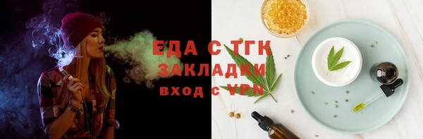 СК Гатчина