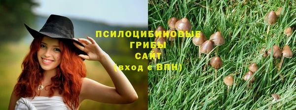 СК Гатчина