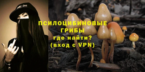 ПСИЛОЦИБИНОВЫЕ ГРИБЫ Осинники