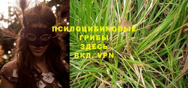 каннабис Няндома