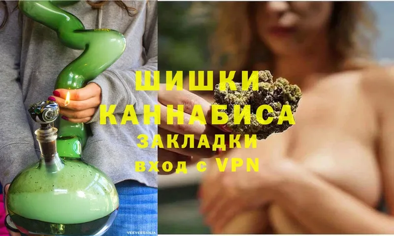 Бошки марихуана сатива  где найти   Котельниково 